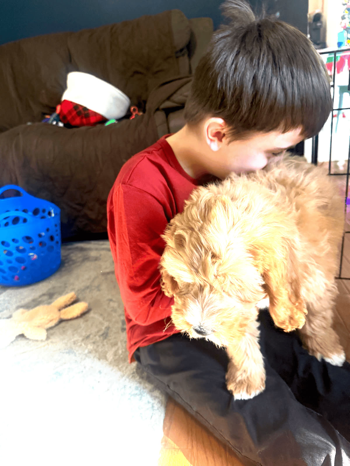 A child holding a puppy close at home